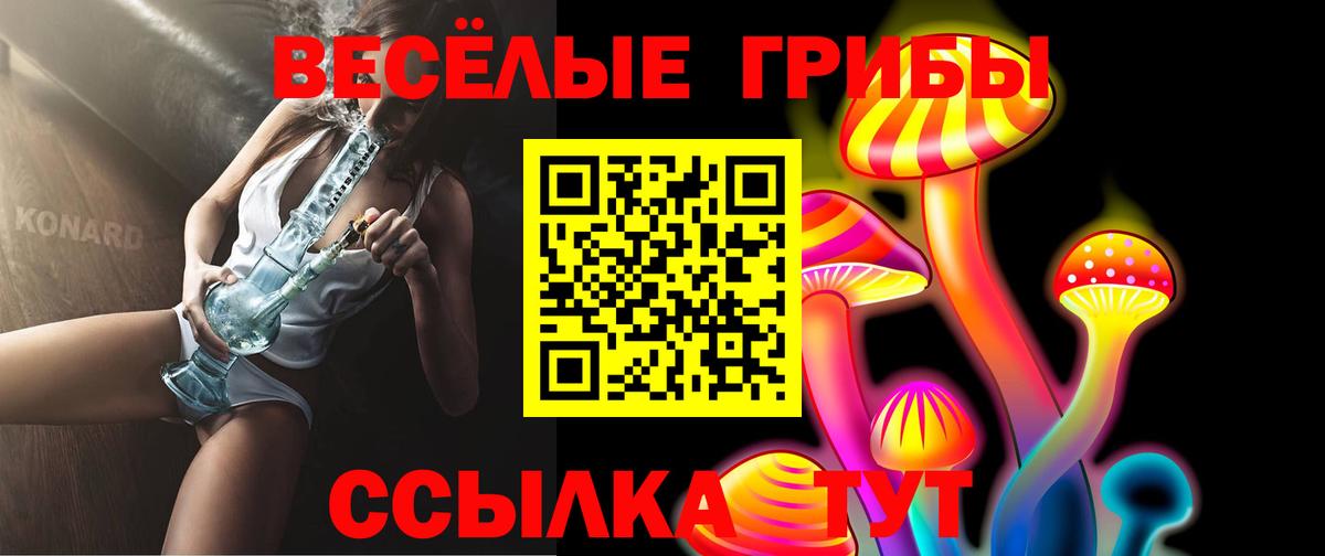 Галлюциногенные грибы Psilocybe  Вход с VPN  Мичуринск  Псилоцибиновые грибы Cubensis 